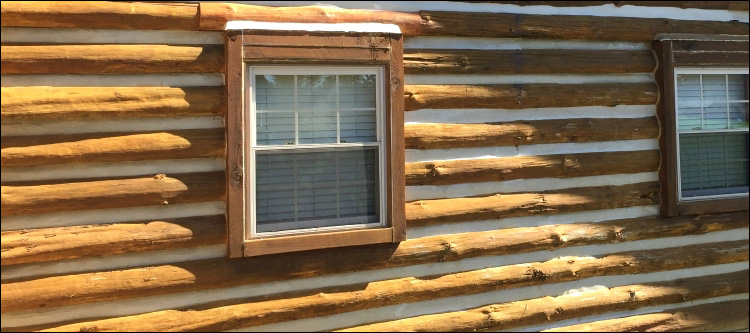 Log Home Whole Log Replacement  Danville City, Virginia