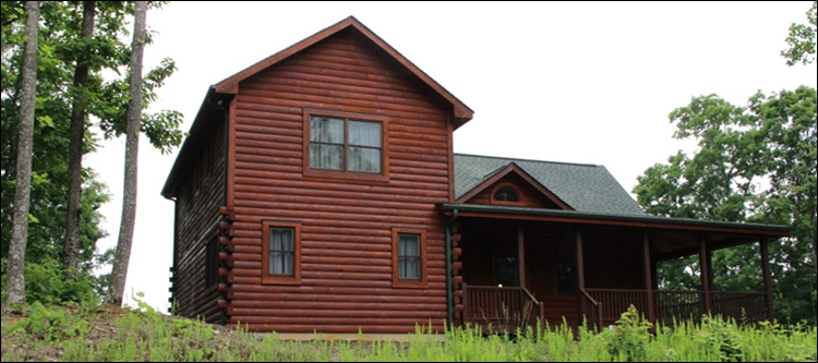 Professional Log Home Borate Application  Danville City, Virginia